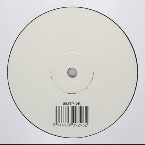 Björk - Wanderlust (2008) [12"]