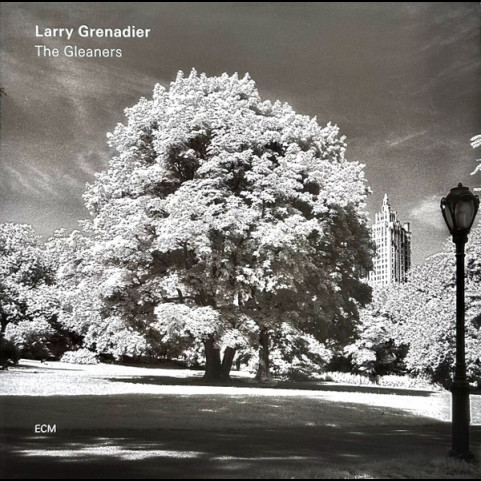 Larry Grenadier - The Gleaners (2019) [1LP]