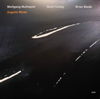 Wolfgang Muthspiel, Scott Colley / Brian Blade - Angular Blues (2020) [1LP]