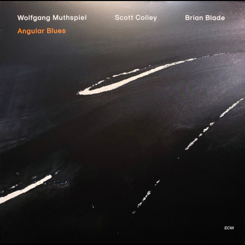 Wolfgang Muthspiel, Scott Colley / Brian Blade - Angular Blues (2020) [1LP]