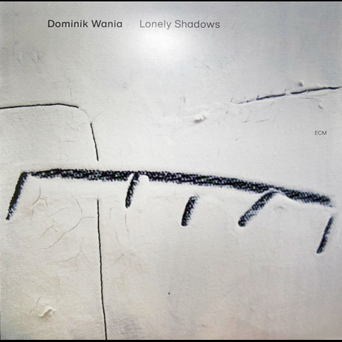 Dominik Wania - Lonely Shadows (2020) [1LP]
