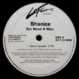 Shanice - You Need A Man (1999) [12"]