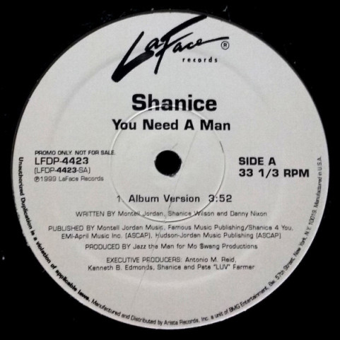 Shanice - You Need A Man (1999) [12"]