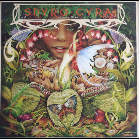 Spyro Gyra - Morning Dance (1979) [1LP]