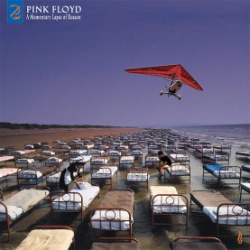 Pink Floyd - A Momentary Lapse Of Reason (Remixed & Updated) (2021) [2LP] 180g