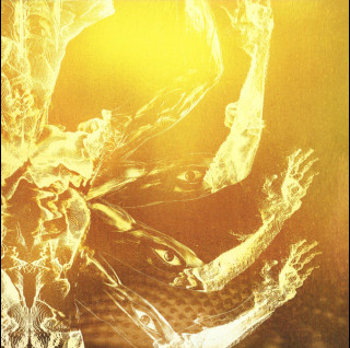 Tool (2) - Fear Inoculum (2022) [2LP]