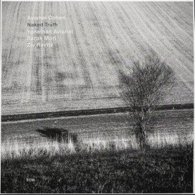 Avishai E. Cohen, Yonathan Avishai, Barak Mori, Ziv Ravitz - Naked Truth (2022) [1LP]