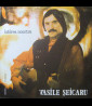 Vasile Șeicaru - Iubirea Noastră (1987) [1LP]