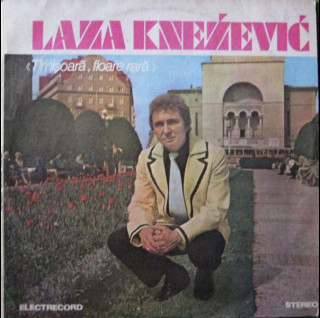 Laza Cnejevici - Timișoară, Floare Rară (1983) [1LP]