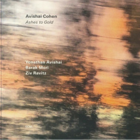 Avishai E. Cohen - Ashes to Gold (2024) [1LP]