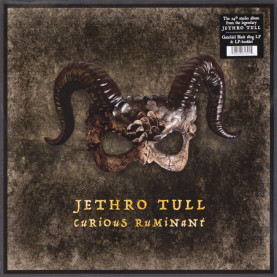 Jethro Tull - Curious Ruminant (2025) [1LP] 180g