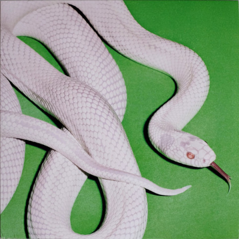 Deftones - Private Music (2025) [1LP]