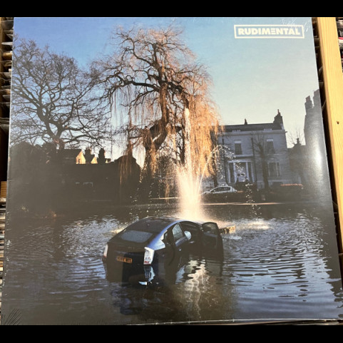 Rudimental - Rudim3ntal  (2025) [1LP]