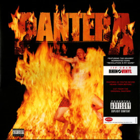 Pantera - Reinventing The Steel (2012) [1LP] 180g