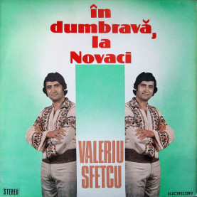 Valeriu Sfetcu - În Dumbravă, La Novaci  (1982) [1LP]