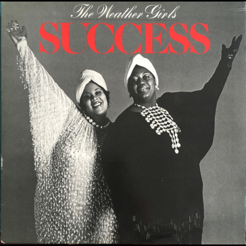 Weather Girls, The - Success (1983) [1LP]