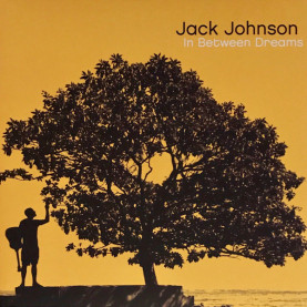 Jack Johnson - In Between Dreams (2005) [1LP] 180g