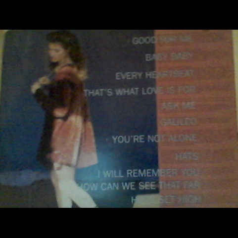 Amy Grant - Heart In Motion (1991) [1LP]