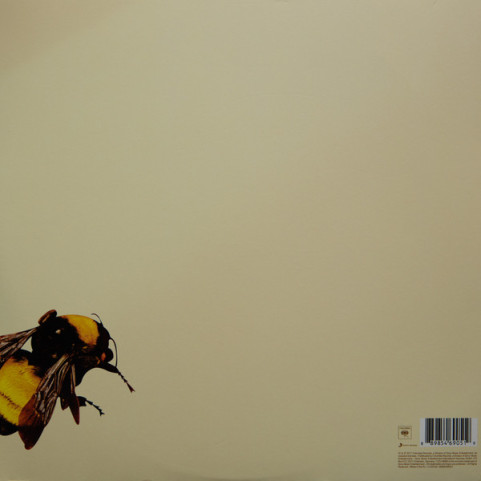 Tyler, The Creator - Scum Fuck Flower Boy (2017) [12"]