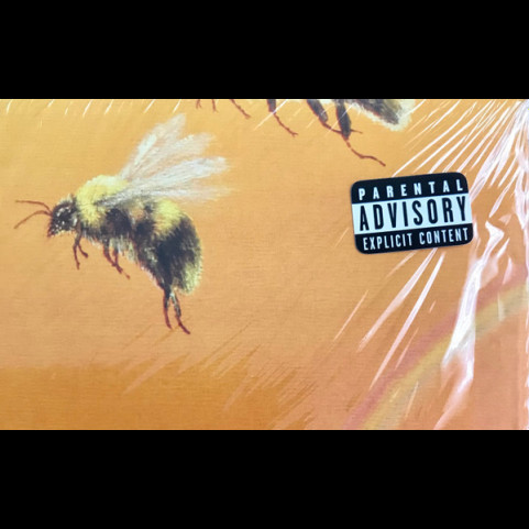 Tyler, The Creator - Scum Fuck Flower Boy (2017) [12"]