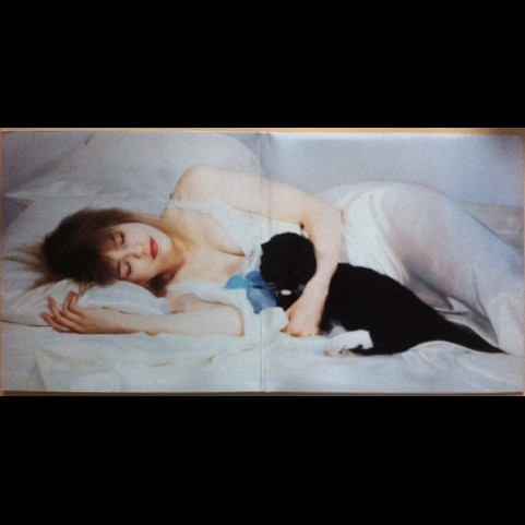 Karen Mantler And Her Cat Arnold - Get The Flu (1990) [1LP]