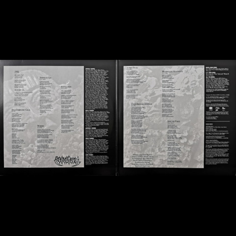 Sepultura - Arise (2018) [2LP] 180g