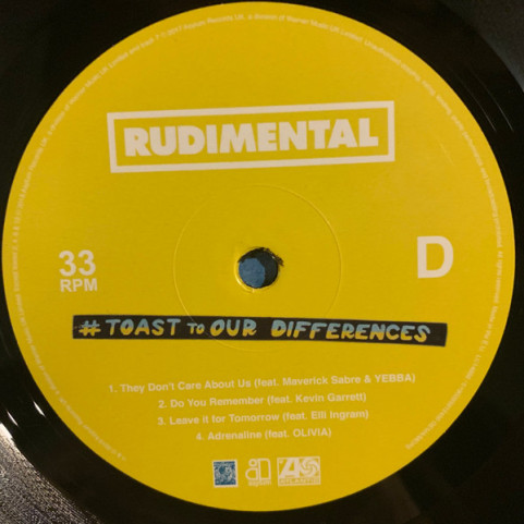 Rudimental - Toast To Our Differences (2019) [2LP]