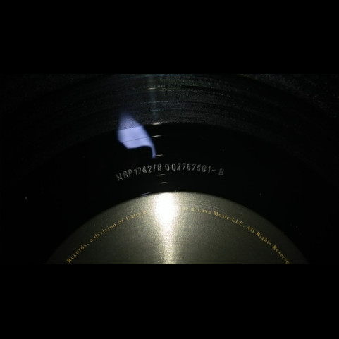 Greta Van Fleet - From The Fires (2019) [1LP]