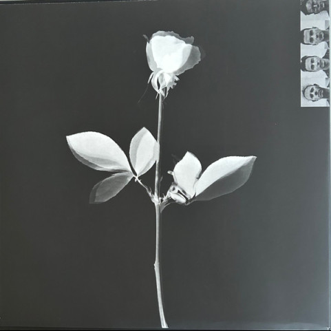 Depeche Mode - Violator (2016) [1LP] 180g