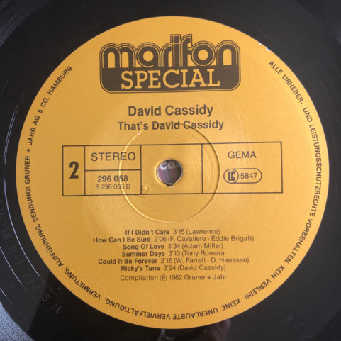 David Cassidy - That's David Cassidy (1982) [1LP]