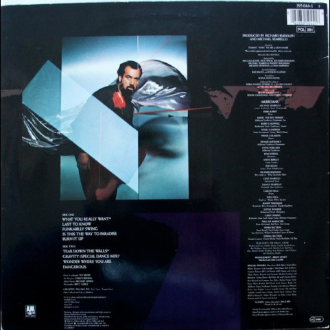 Michael Sembello - Without Walls (1986) [1LP]