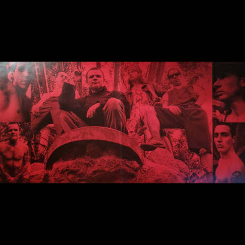 Red Hot Chili Peppers - Blood Sugar Sex Magik (2020) [2LP] 180g