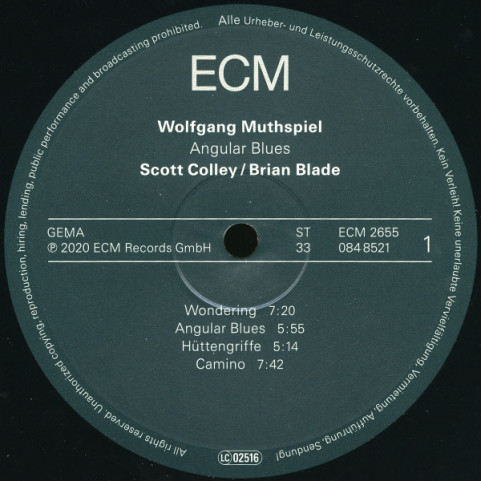 Wolfgang Muthspiel, Scott Colley / Brian Blade - Angular Blues (2020) [1LP]