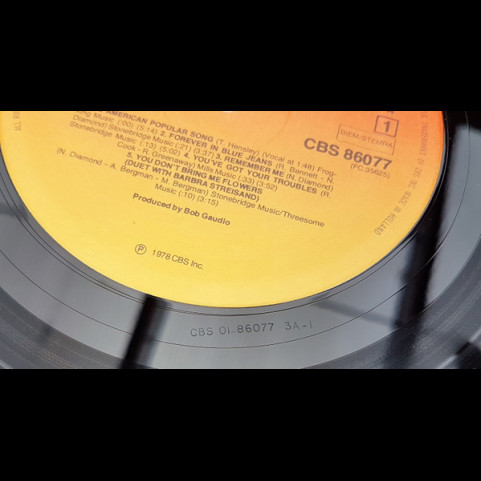 Neil Diamond - You Don't Bring Me Flowers (1978) [1LP]
