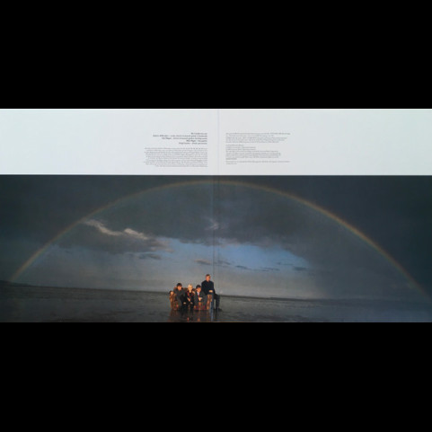 Cranberries, The - No Need To Argue (2020) [2LP]