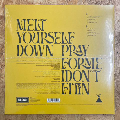 Melt Yourself Down - Pray For Me I Don't Fit In (2022) [1LP]