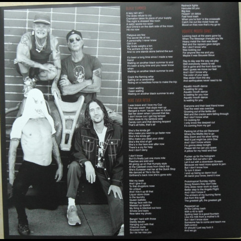 Red Hot Chili Peppers - Unlimited Love (2022) [2LP]