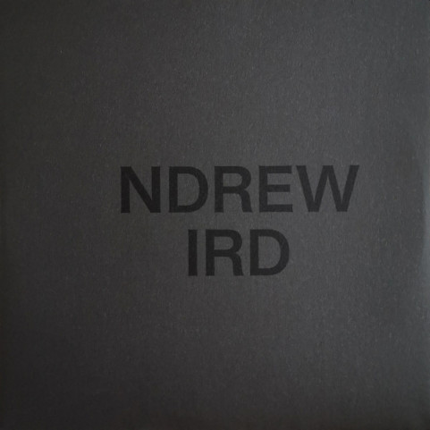 Andrew Bird - Inside Problems (2022) [1LP] 180g