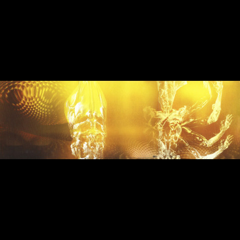 Tool (2) - Fear Inoculum (2022) [2LP]