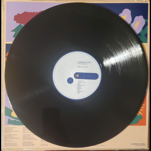 Various - Bluewerks Volumes 1 & 2 (2022) [12"]