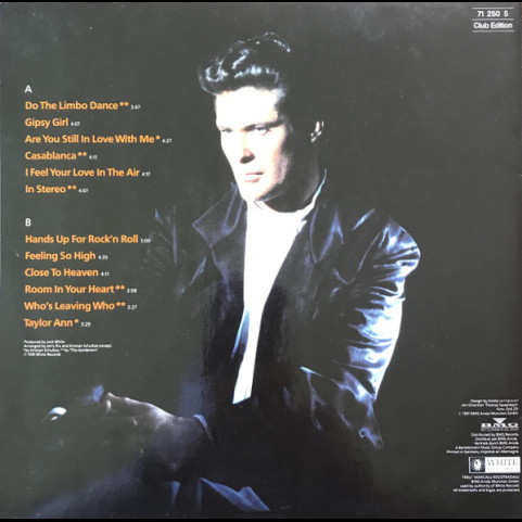 David Hasselhoff - David (1991) [1LP]