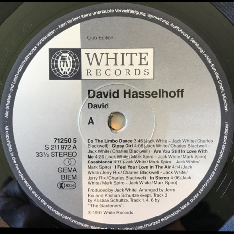 David Hasselhoff - David (1991) [1LP]