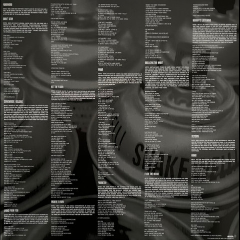 Linkin Park - Meteora (2023) [1LP]