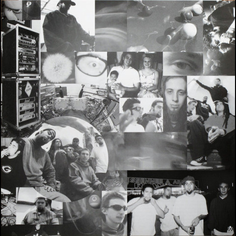 Deftones - Around The Fur (2011) [1LP] 180g