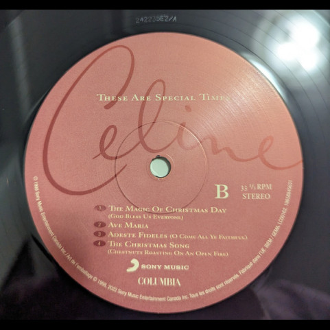 Céline Dion - These Are Special Times (2023) [2LP]
