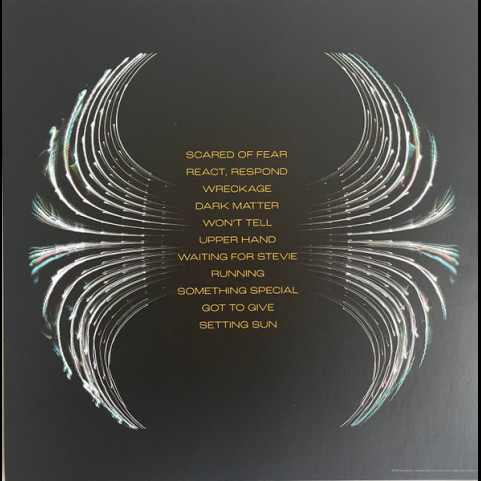 Pearl Jam - Dark Matter (2024) [1LP]