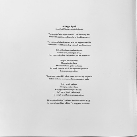 David Gilmour - Luck And Strange (2024) [1LP]