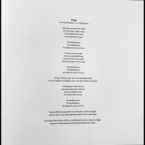 David Gilmour - Luck And Strange (2024) [1LP]
