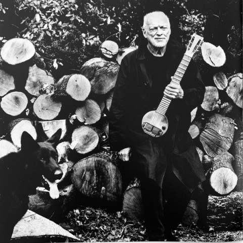 David Gilmour - Luck And Strange (2024) [1LP]