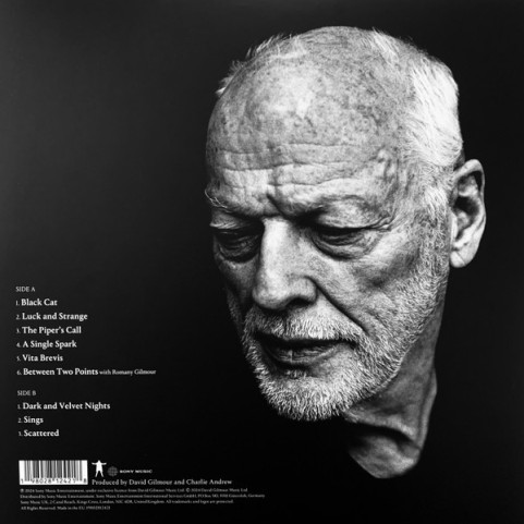 David Gilmour - Luck And Strange (2024) [1LP]